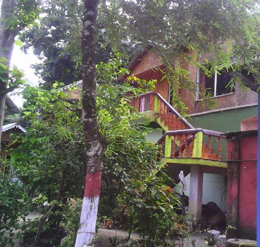 Akarshan Bono Bunglow, Lataguri 3